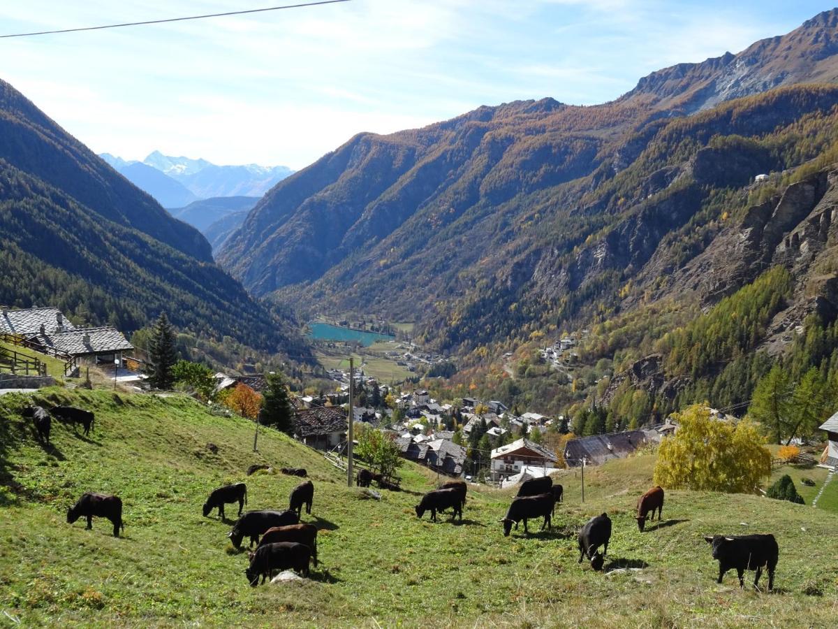 HelloChalet - Maison Rue de la Neige - Family Ski Holiday walking distance slope&gondola Valtournenche Buitenkant foto